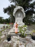 tempImageKP9KDE_original