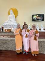 tempImagen36pdq_original