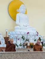 IMG_7022_original