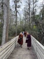 IMG_7036_original