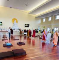 IMG_2646_Medium_original