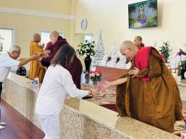 IMG_2661_Medium_original